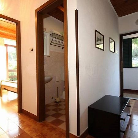 Apartment Iva Молунат Экстерьер фото